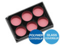80631 µ-Plate 6 Well Untreated: #1.5 polymer coverslip, hydrophobic, black plate, sterilized, individually packed ( 15 pcs/pkg )